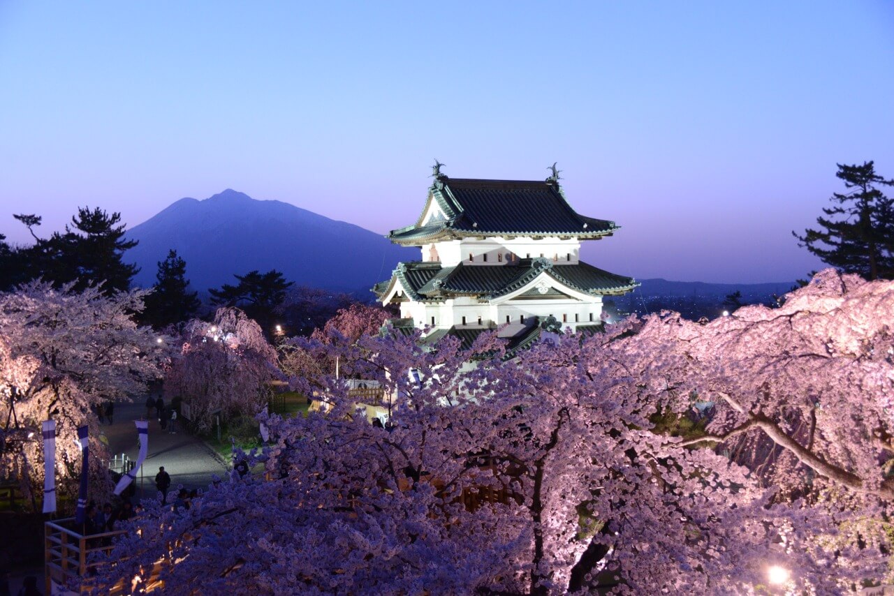 Japanese style building behind pink trees